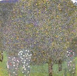 Gustav Klimt Rose Bushes Under the Trees